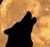 DJ LONEWOLF